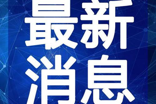 文泽园最新爆料新闻视频,最新爆料新闻视频深度解析